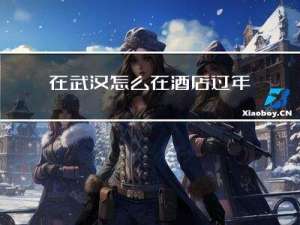 在武汉怎么在酒店过年