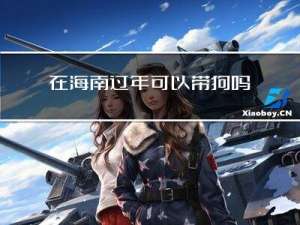 在海南过年可以带狗吗