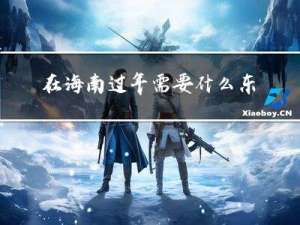 在海南过年需要什么东西