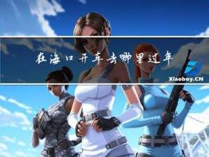在海口开车去哪里过年