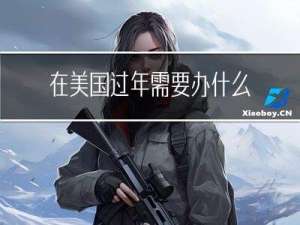在美国过年需要办什么证件