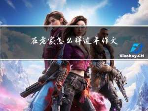 在老家怎么样过年作文