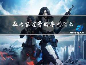在老家过年的车叫什么