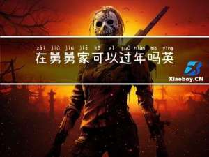 在舅舅家可以过年吗英语