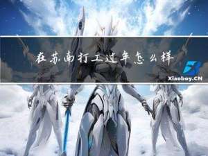 在苏南打工过年怎么样