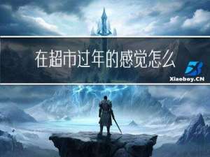 在超市过年的感觉怎么样