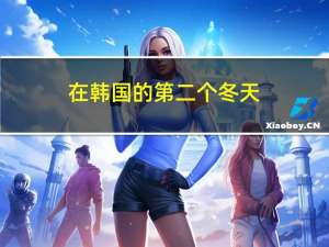 在韩国的第二个冬天