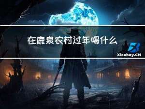 在鹿泉农村过年喝什么酒