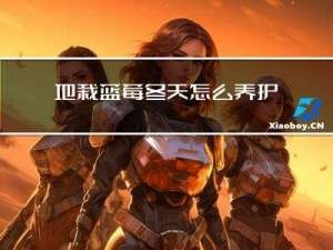 地栽蓝莓冬天怎么养护