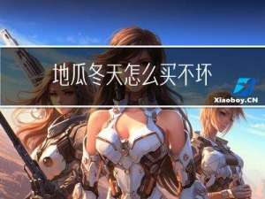 地瓜冬天怎么买不坏