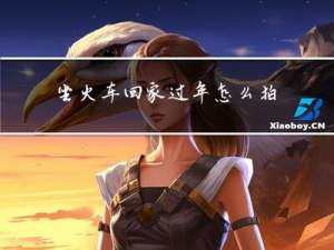 坐火车回家过年怎么拍的