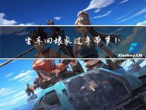 坐车回娘家过年带萝卜好吗