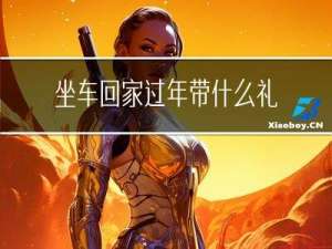 坐车回家过年带什么礼物