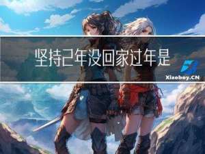 坚持2年没回家过年是什么