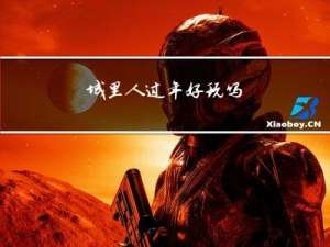 城里人过年好玩吗