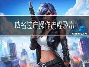 域名过户操作流程及常见问题