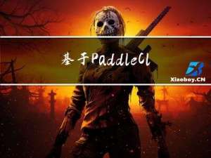 基于PaddleClas的猫的十二分类