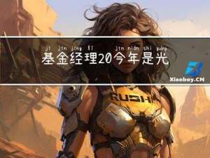基金经理 今年是光伏大年