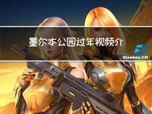 墨尔本公园过年视频介绍