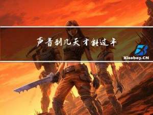 声音到几天才能过年