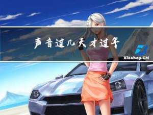 声音过几天才过年