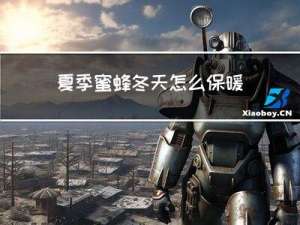 夏季蜜蜂冬天怎么保暖