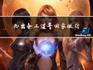 外出务工过年回家做什么好
