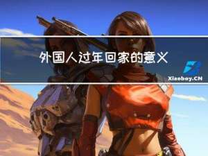 外国人过年回家的意义