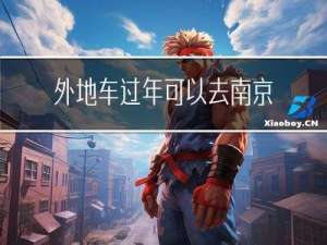 外地车过年可以去南京吗