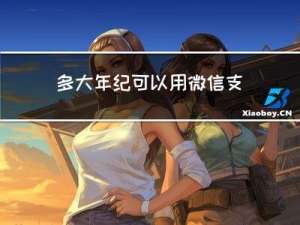 多大年纪可以用微信支付