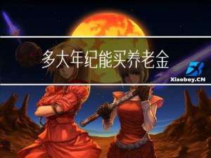 多大年纪能买养老金