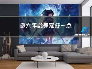 多大年龄养猫好一点