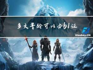 多大年龄可以办b1证