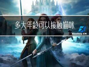 多大年龄可以接触猫咪