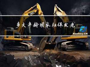 多大年龄国家社保发老年费