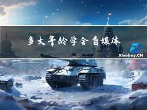 多大年龄学会自媒体