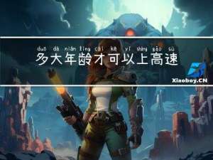 多大年龄才可以上高速公路