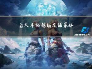 多大年龄接触足球最好