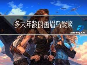 多大年龄的画眉鸟能繁殖