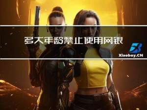 多大年龄禁止使用网银