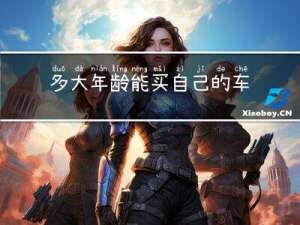 多大年龄能买自己的车上牌