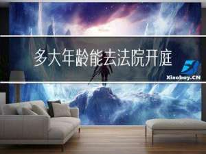 多大年龄能去法院开庭