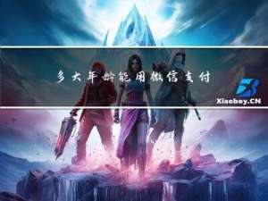 多大年龄能用微信支付了