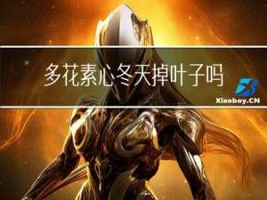 多花素心冬天掉叶子吗