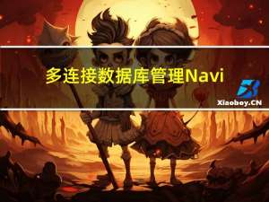 多连接数据库管理Navicat Premium 中文