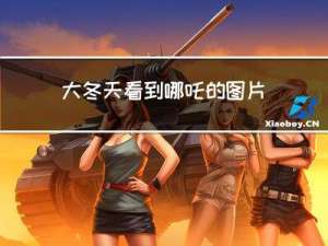 大冬天看到哪吒的图片