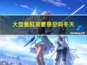 大型鱼缸需要悬空吗冬天