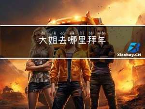 大姐去哪里拜年