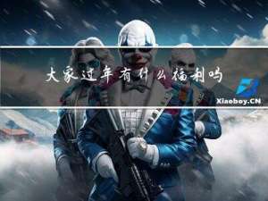 大家过年有什么福利吗