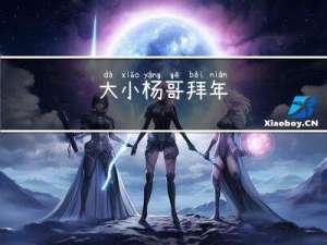 大小杨哥拜年